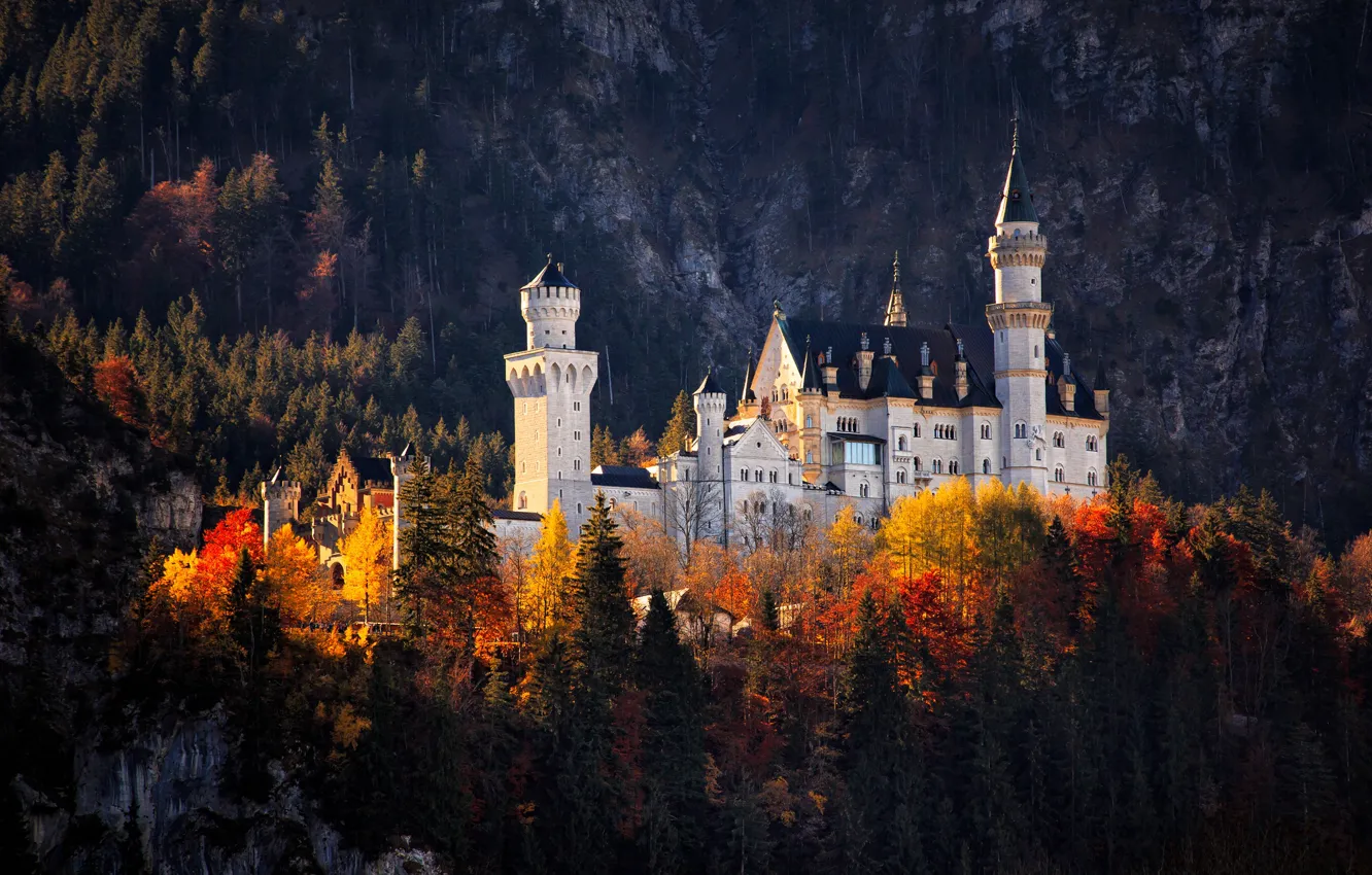 Фото обои осень, лес, цвета, свет, пейзаж, горы, темный фон, замок