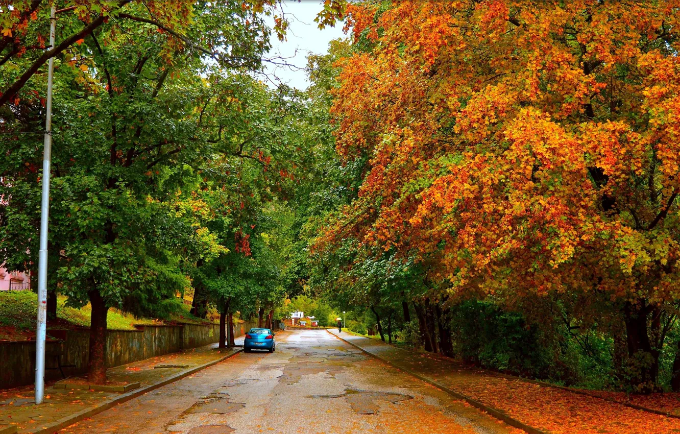 Фото обои Дорога, Осень, Деревья, Машина, Car, Fall, Листва, Autumn
