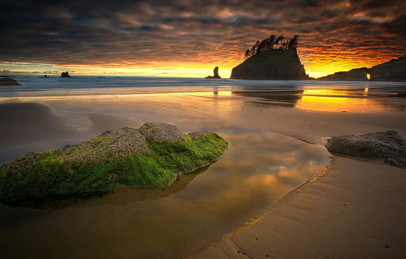 Фото обои песок, пляж, деревья, скала, океан, рассвет, Washington, Olympic National Park