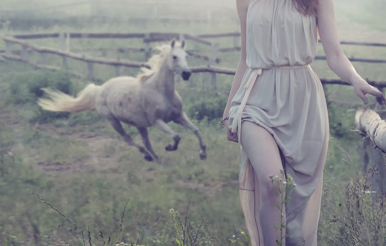 Фото обои девушка, туман, лошадь, ограда, шатенка