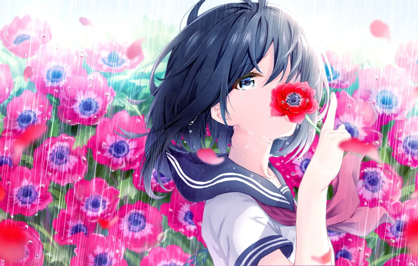 Фото обои Цветы, Маки, Девочка, haru (re ilust)