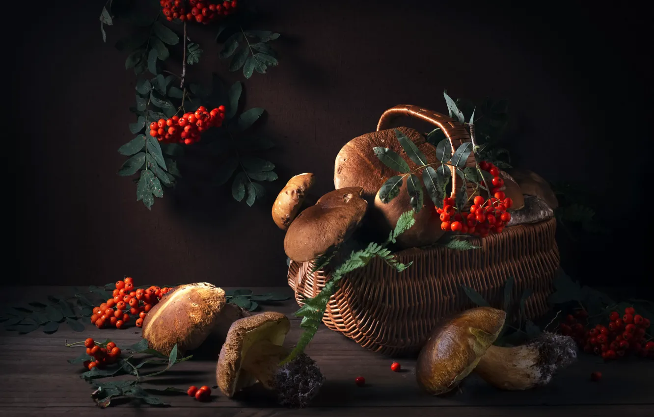 Фото обои ягоды, корзина, грибы, рябина, гроздья, Максим Вышарь