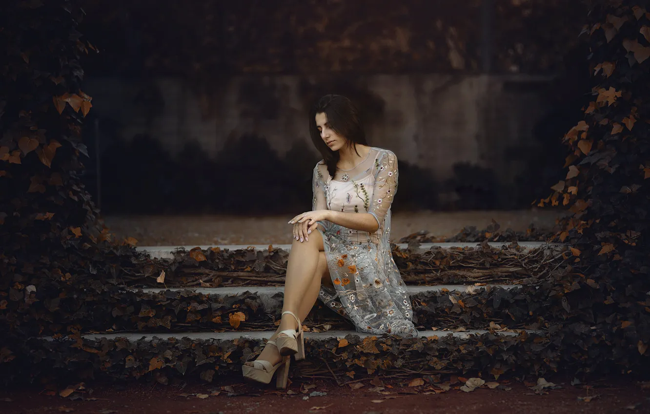 Фото обои девушка, ступени, Maria Nita Vlad