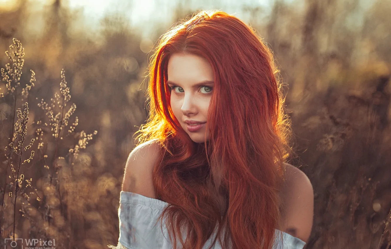 Фото обои взгляд, девушка, лицо, волосы, портрет, рыжая, плечи, рыжеволосая