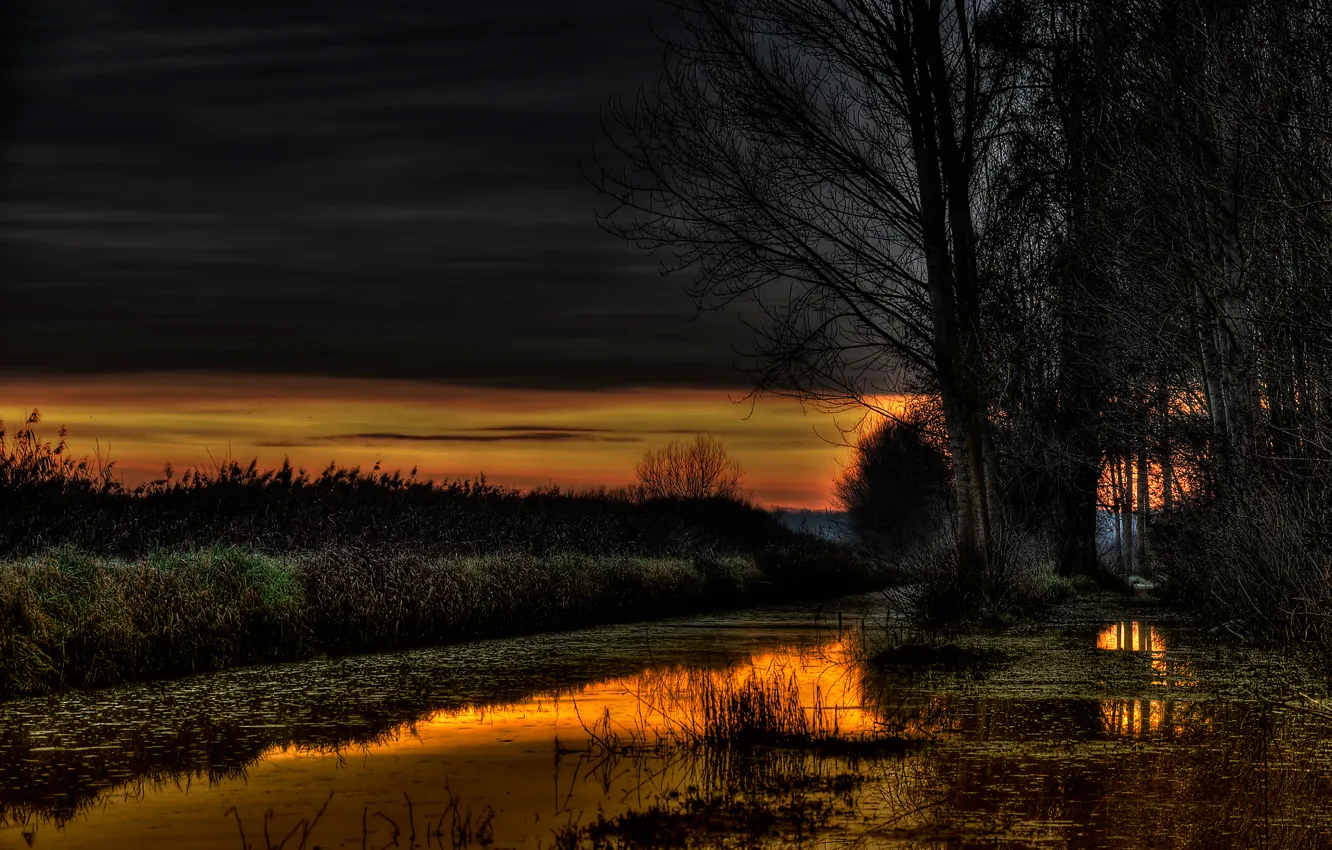 Фото обои деревья, озеро, отражение, Golden hour