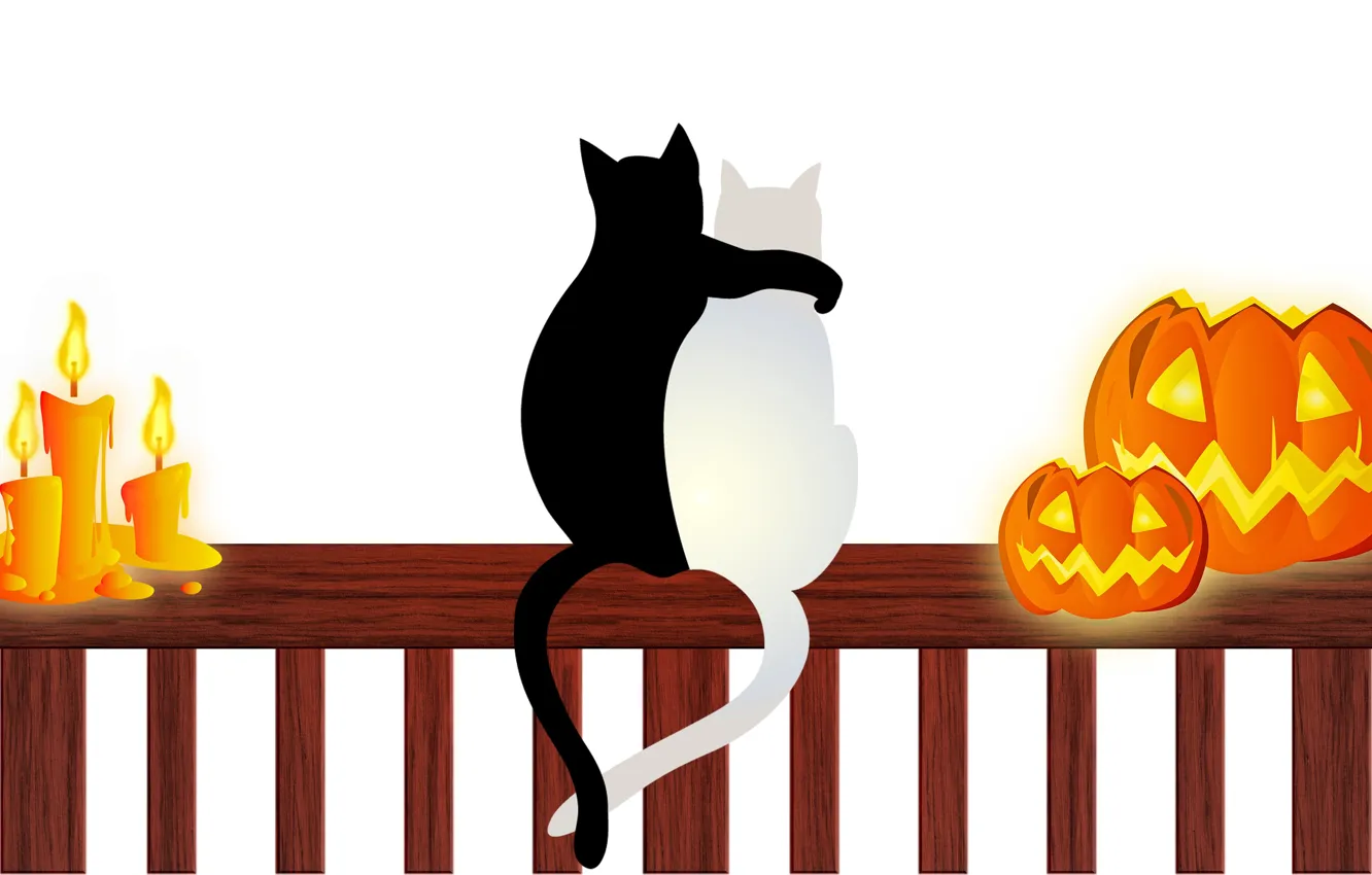 Фото обои кошки, свечи, тыквы, Хэллоуин, 31 октября