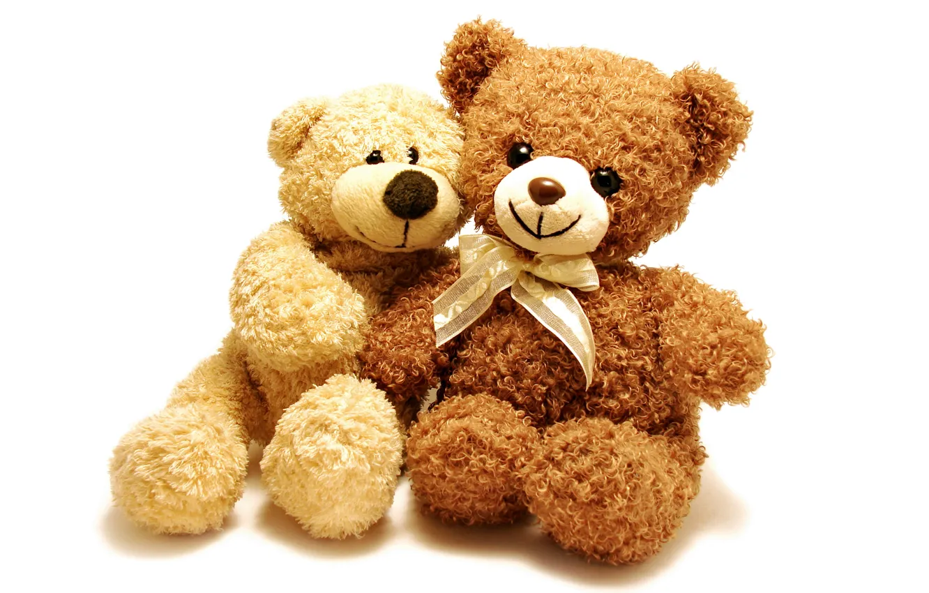 Фото обои игрушка, мишка, пара, плюшевый, toy, bear, cute, Teddy