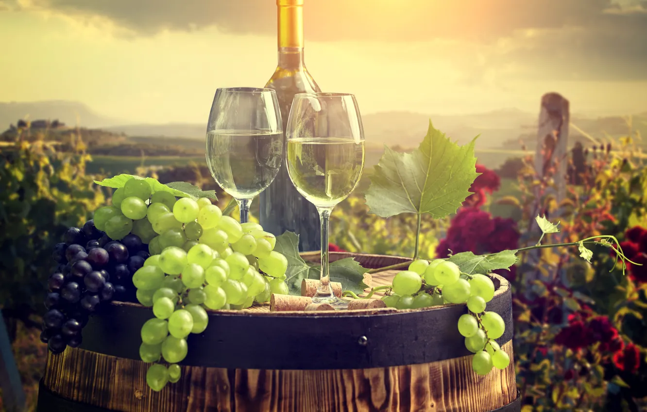 Фото обои пейзаж, вино, бутылка, бокалы, виноград, пробки, бочка