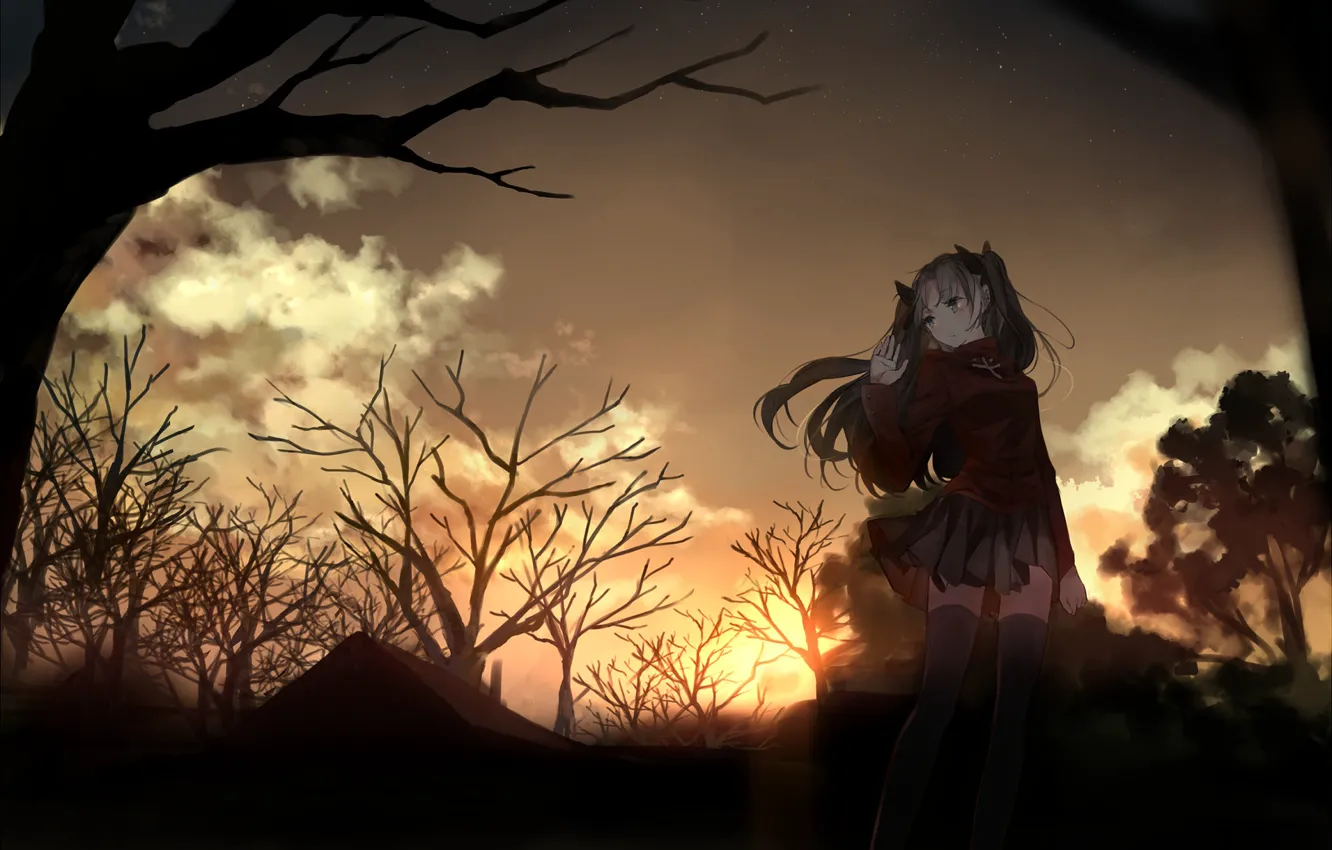 Фото обои девушка, деревья, вечер, Рин, Тосака Рин, Судьба ночь схватки, Fate / Stay Night