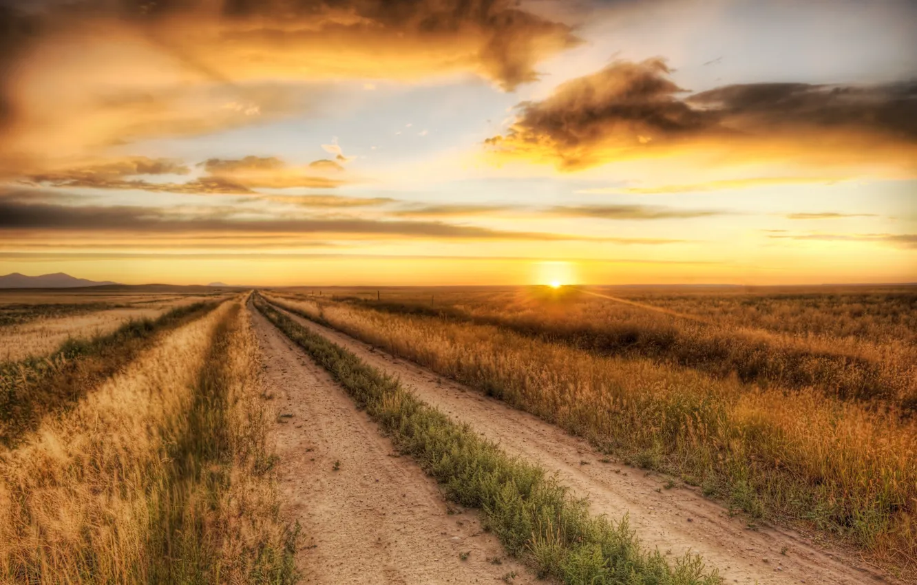 Фото обои зелень, поле, небо, солнце, пейзаж, природа, фон, widescreen