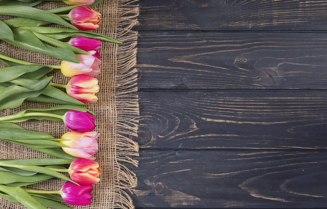 Фото обои цветы, colorful, тюльпаны, розовые, wood, pink, flowers, tulips