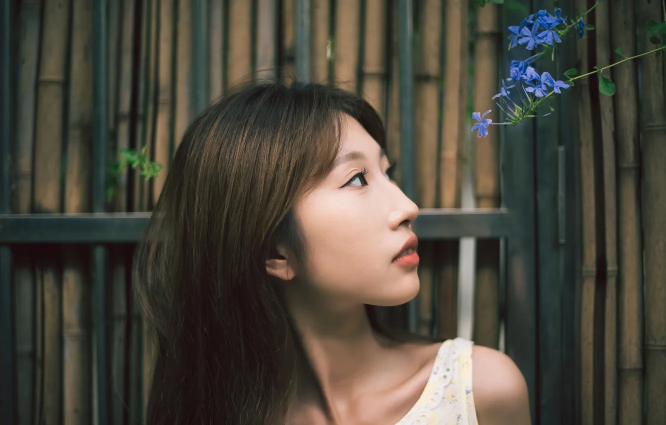 Фото обои Beautiful, Asian, Model, Flower, Woman, Pretty, Close Up, Fence