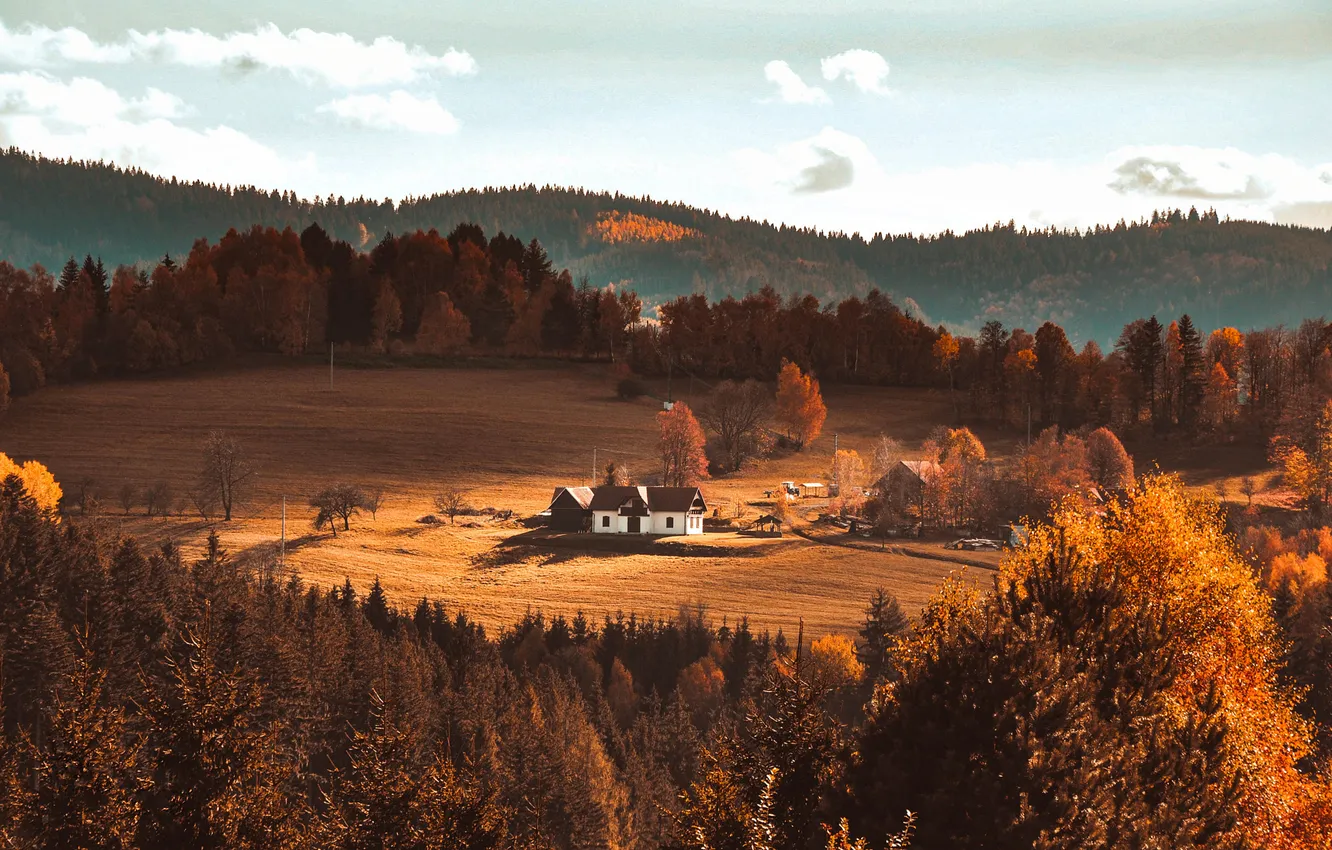 Фото обои поле, осень, лес, облака, свет, деревья, горы, холмы