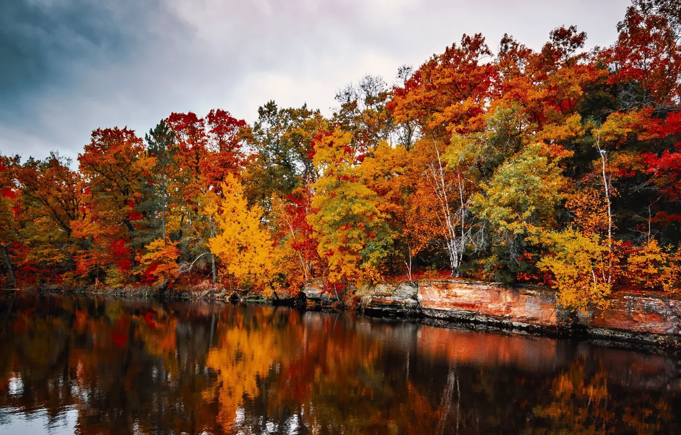 Фото обои green, red, forest, yellow, wood, autumn, tree, orange