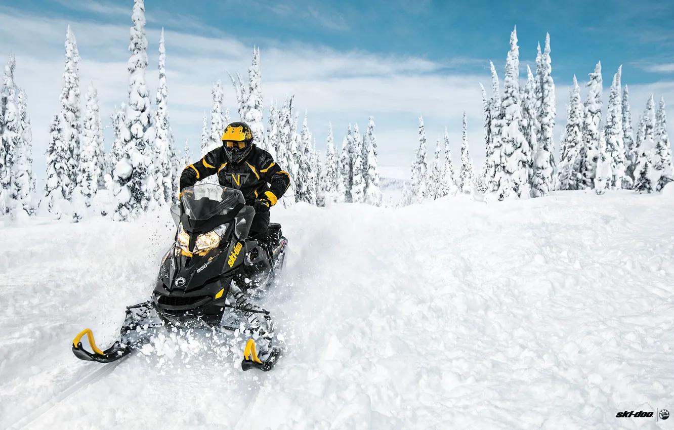 Фото обои Снег, Snow, Forest, Лёс, Снегоход, Skidoo, Snowmobile, Ski-Doo