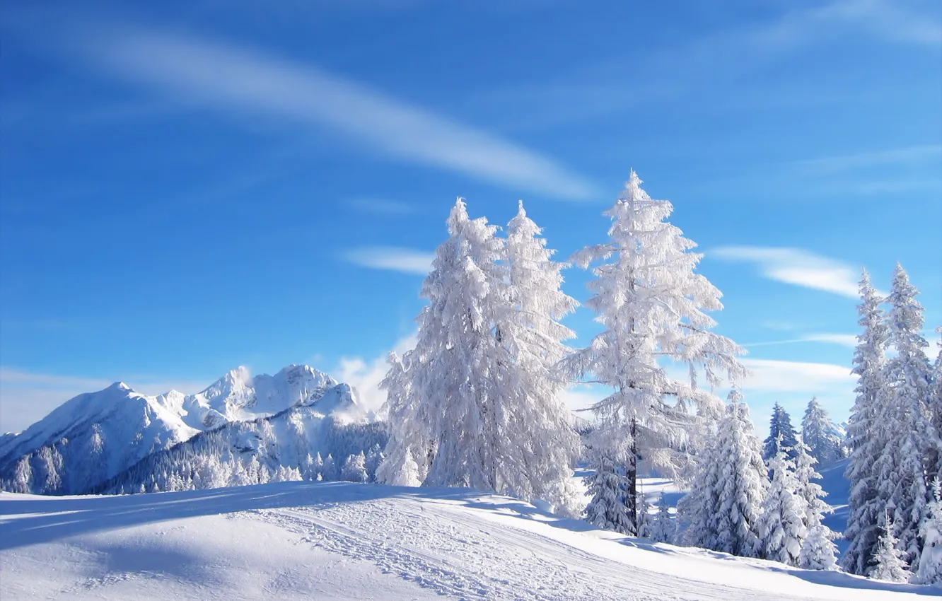 Фото обои зима, небо, снег, горы, елки