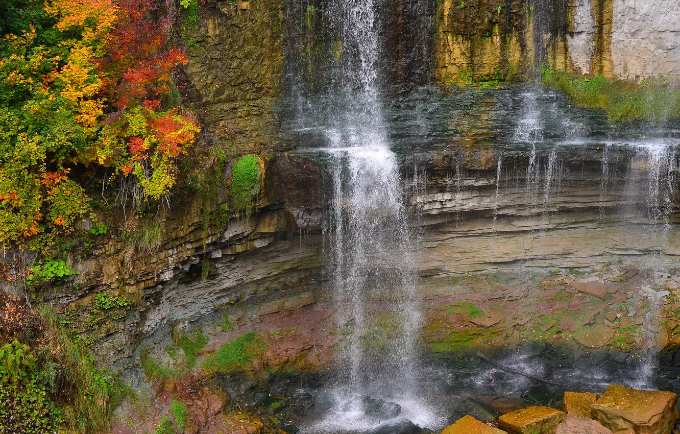 Фото обои осень, деревья, скала, камни, водопад