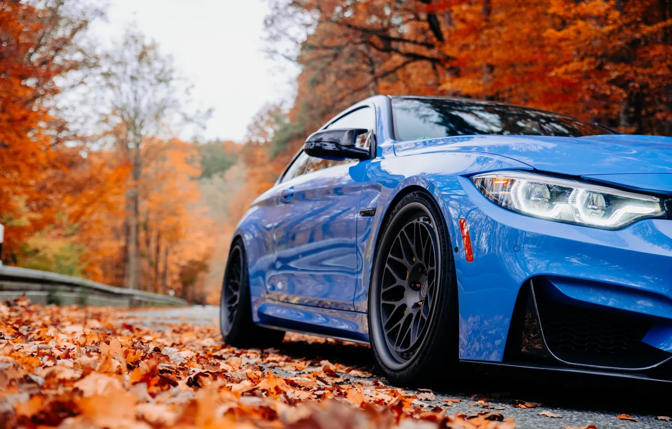 Фото обои BMW, Blue, Autumn, Road, F80, Sight