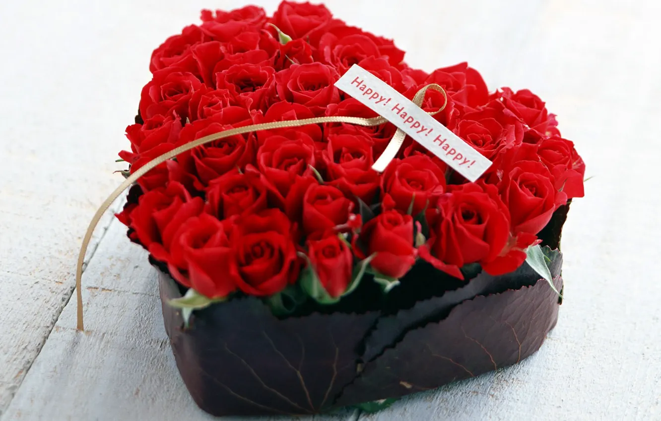 Фото обои цветок, красный, розы