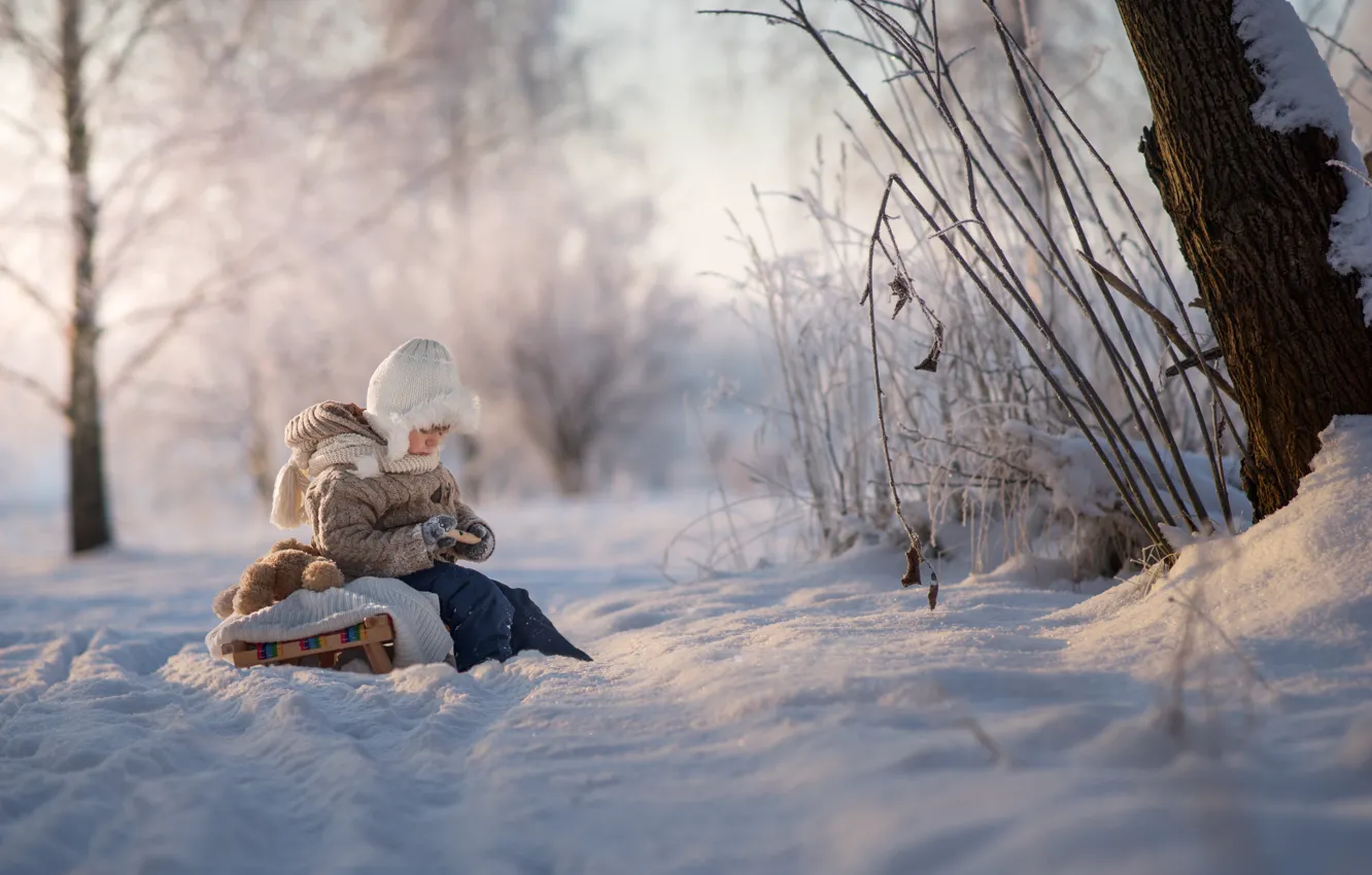 Фото обои зима, снег, мальчик, санки