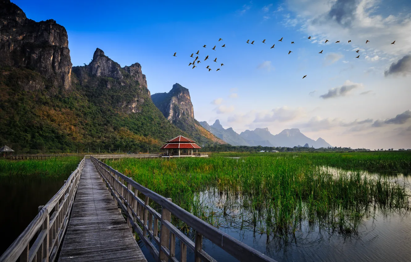 Фото обои трава, вода, горы, птицы, мост, озеро, хижина, постройка