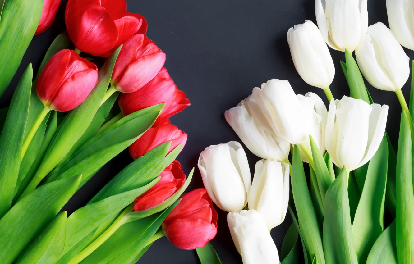 Фото обои весна, тюльпаны, розовые, белые, цветение