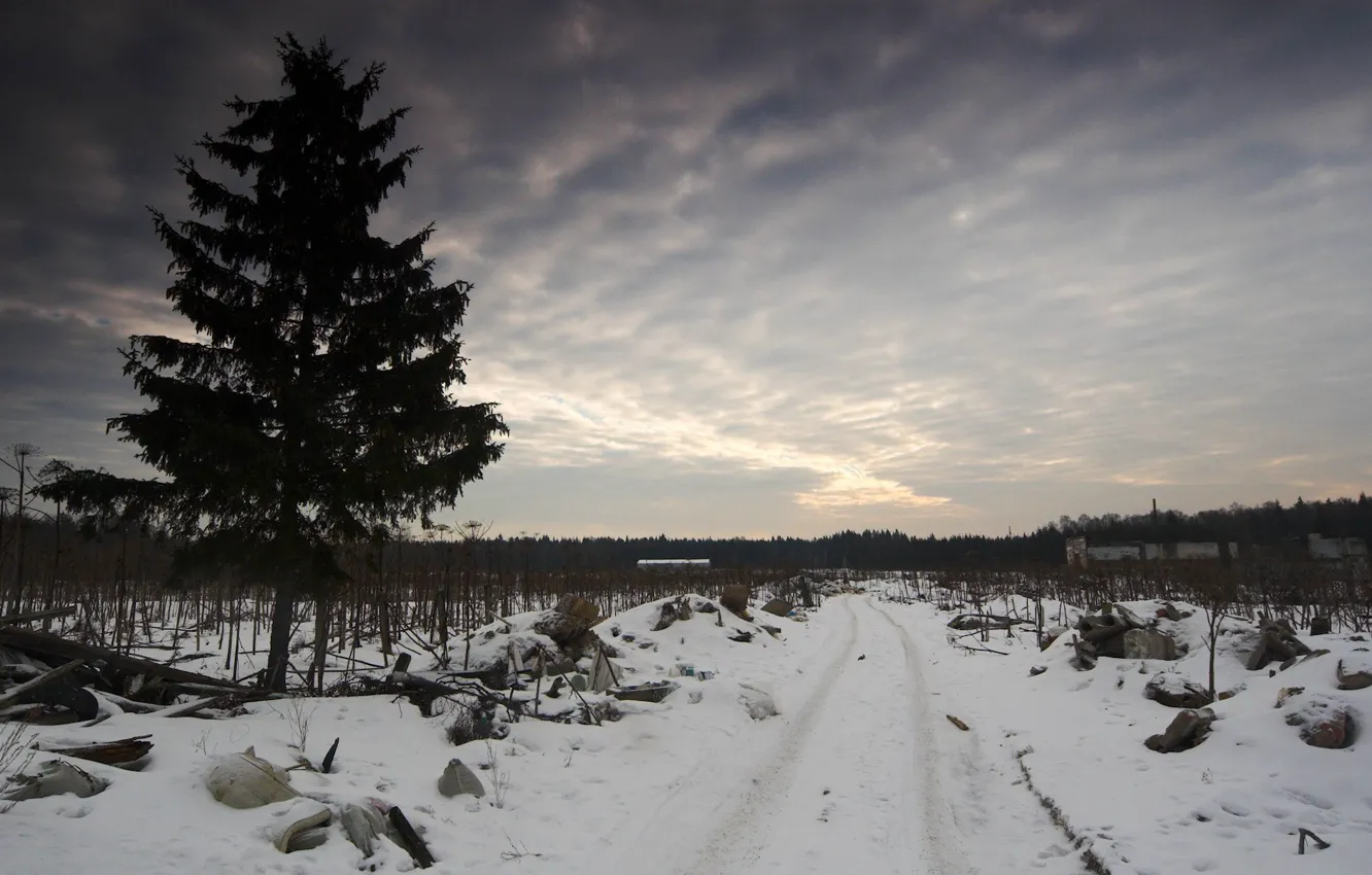 Фото обои дорога, грусть, небо, мусор, дерево, Зима