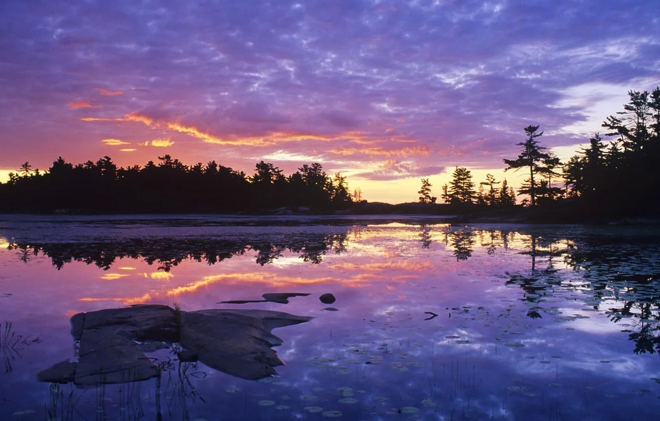 Фото обои лес, закат, озеро, отражение, Природа