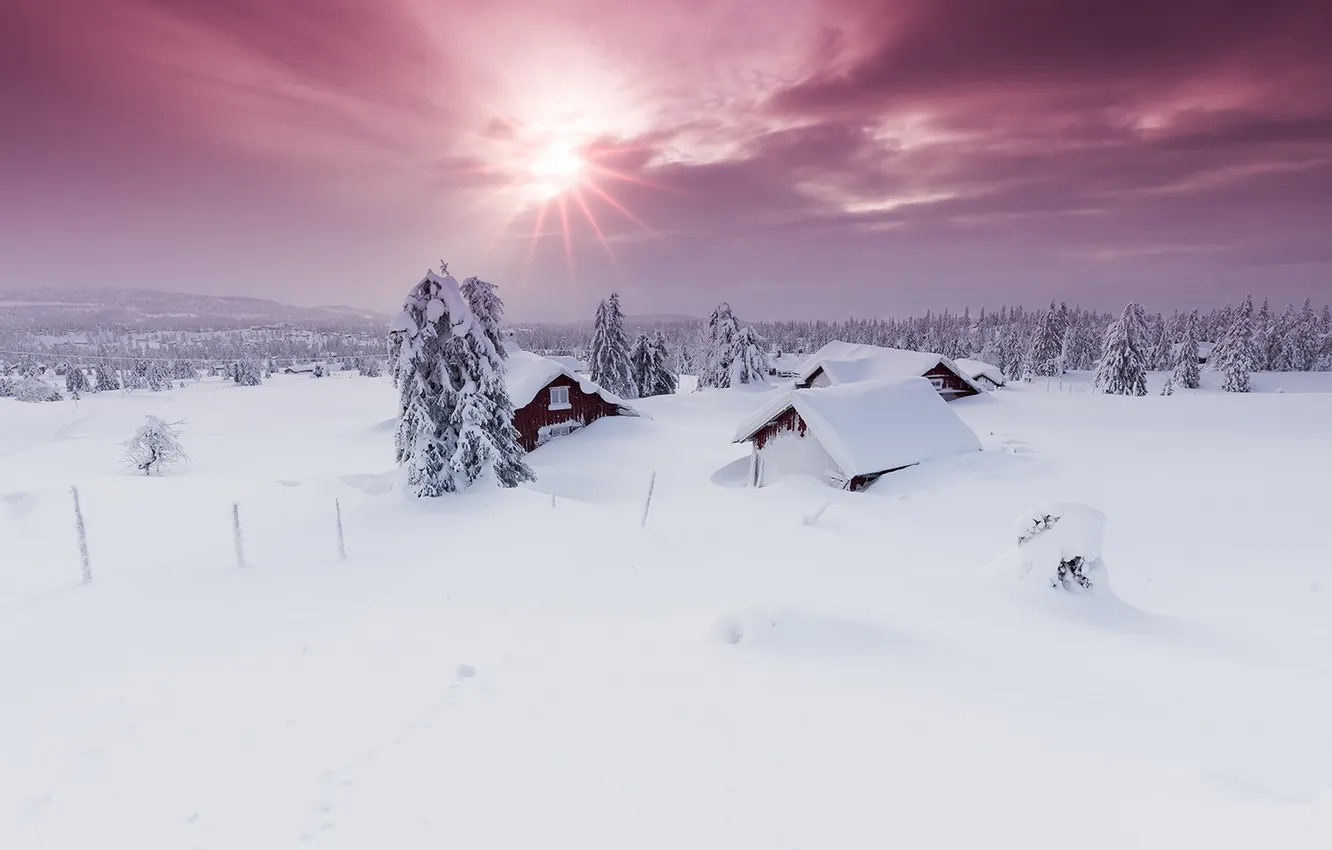 Фото обои зима, небо, снег, дома