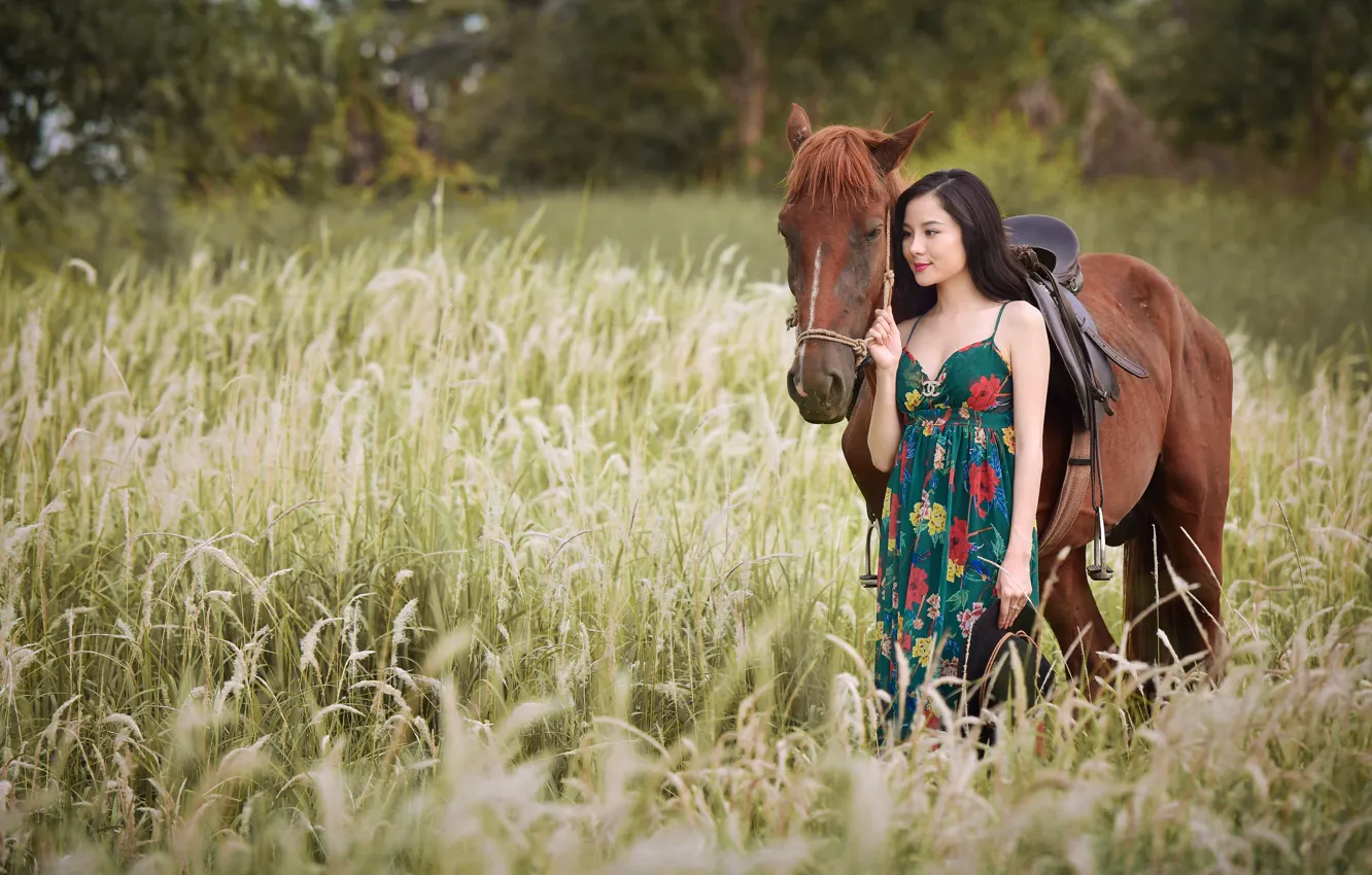 Фото обои девушка, природа, лошадь, прогулка, азиатка