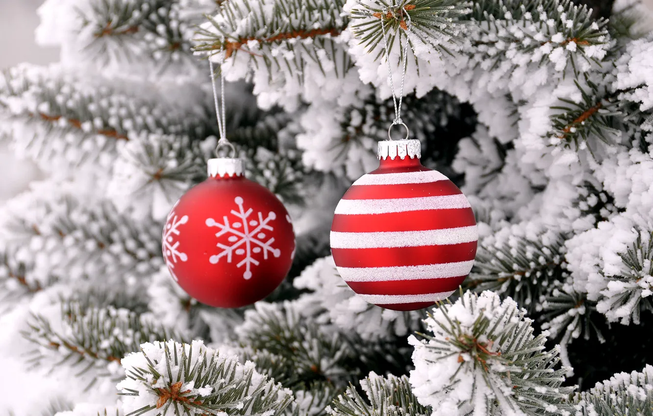 Фото обои зима, снег, крупный план, ветки, праздник, шары, игрушки, красные