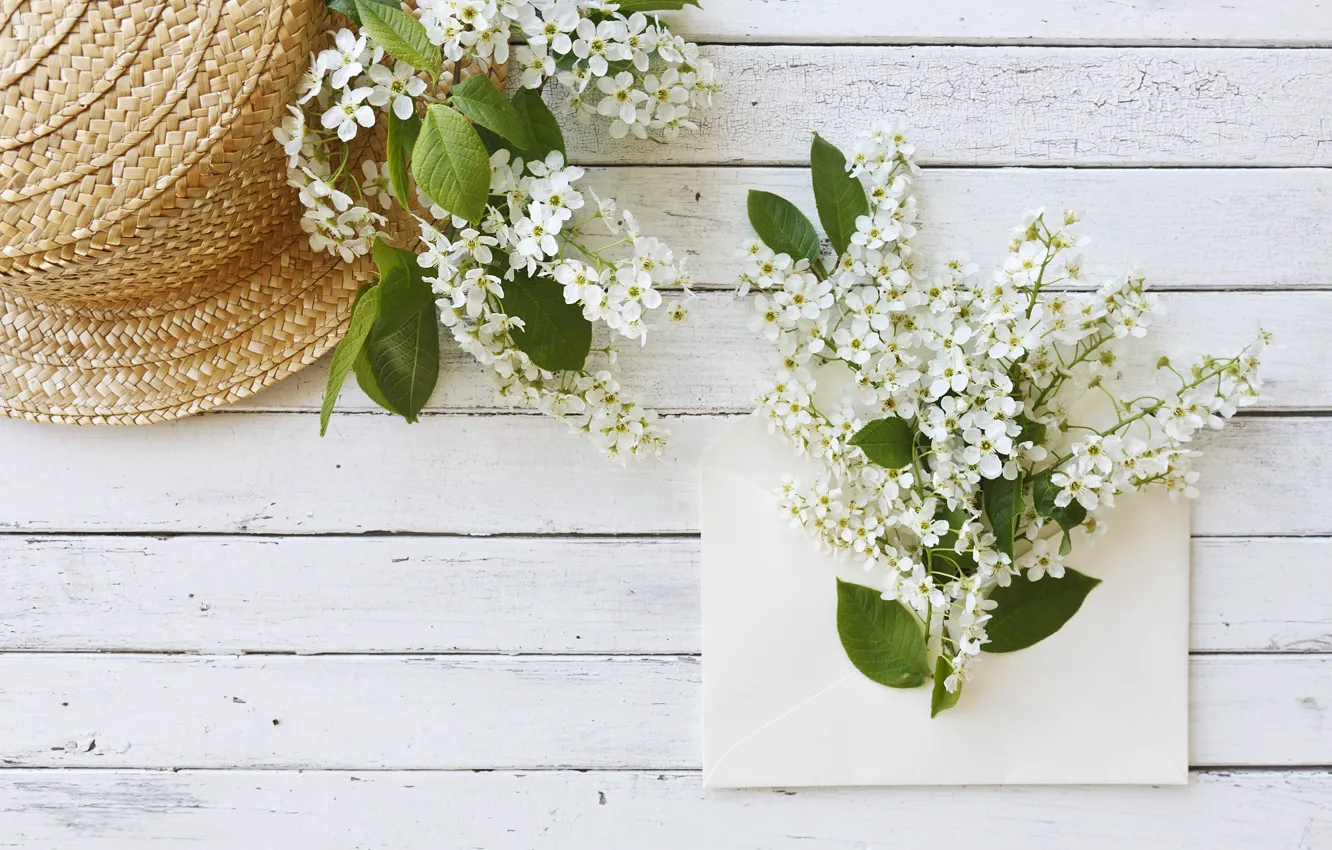 Фото обои цветы, шляпа, white, белые, wood, flowers, spring
