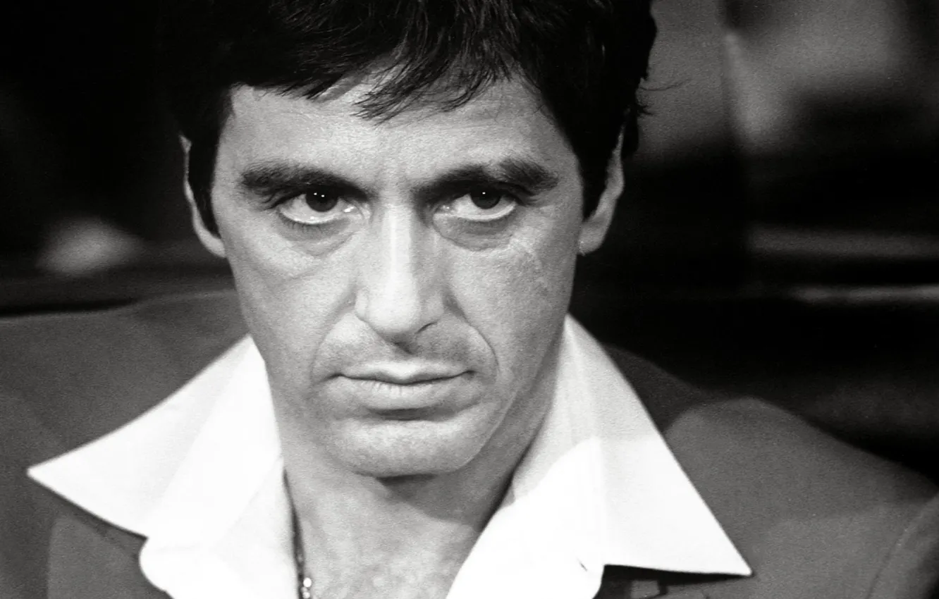 Фото обои актер, Al Pacino, Scarface, Аль Пачино, кинорежиссёр, кинозвезда, лицо со шрамом