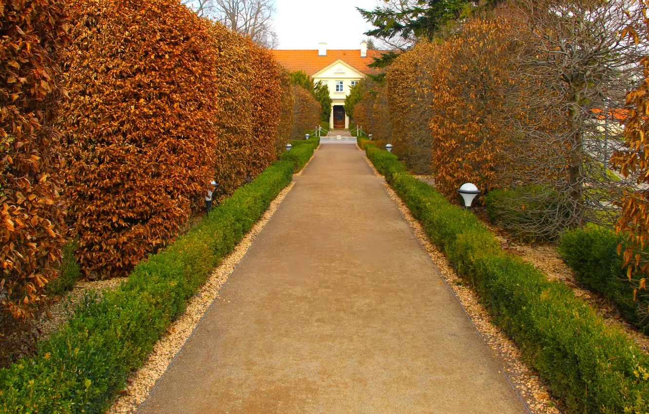 Фото обои house, park, alley