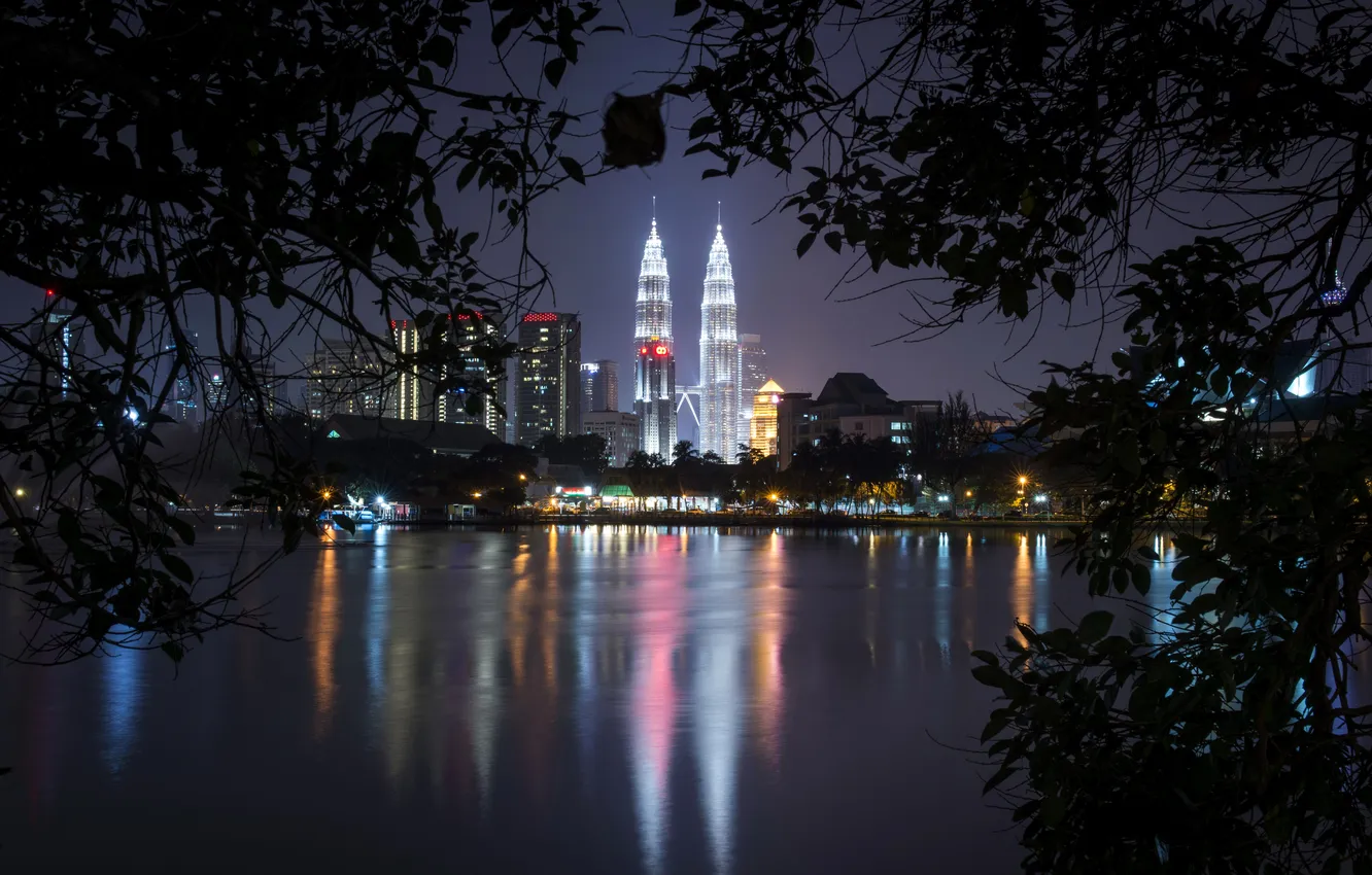 Фото обои ночь, ветки, огни, река, здания, дома, набережная, Малайзия