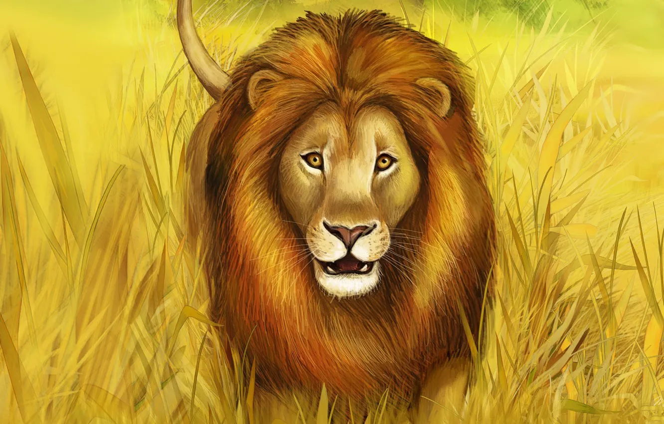Фото обои трава, хищник, лев, грива, большая кошка