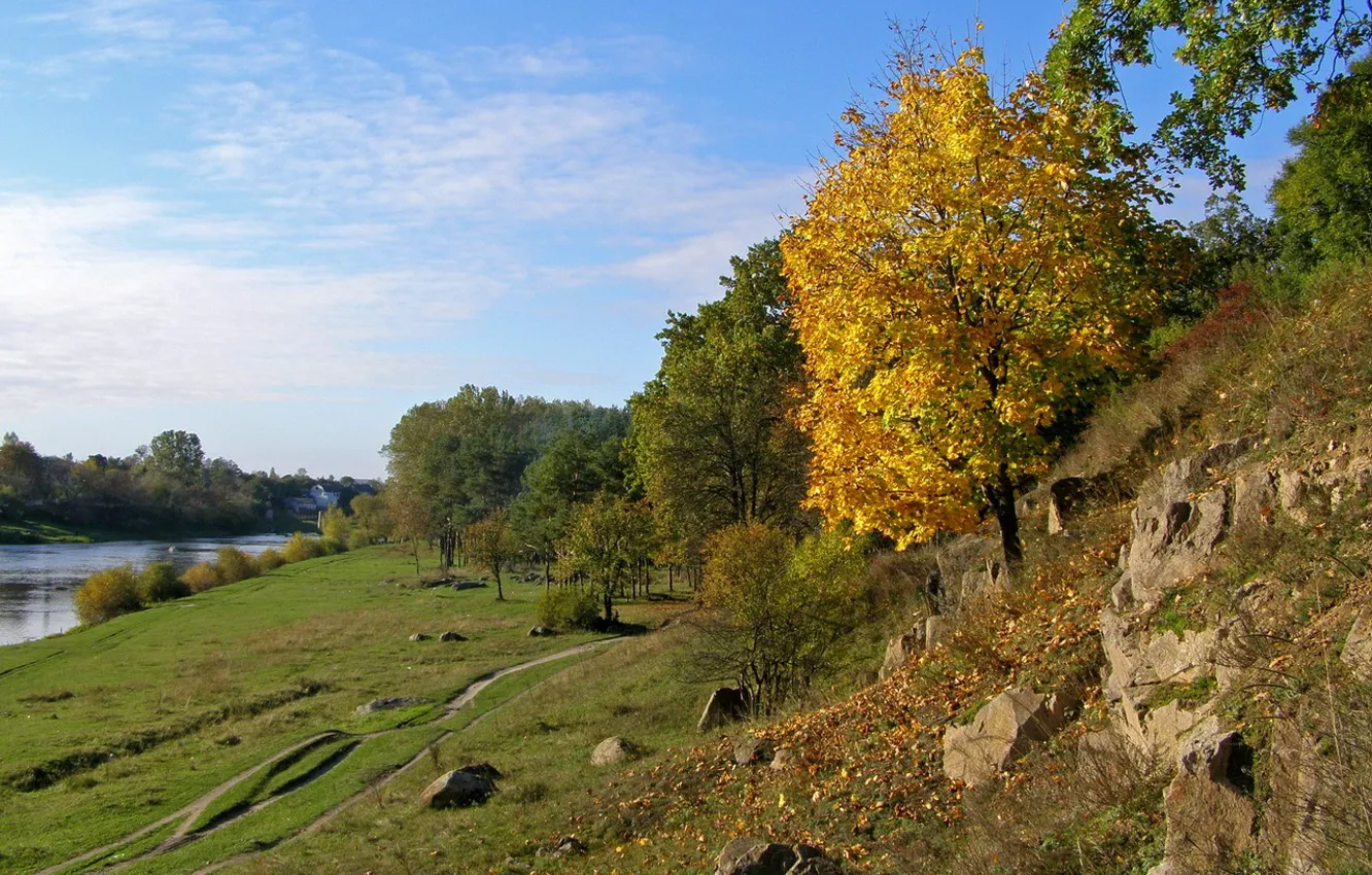 Фото обои деревья, берег, Осень