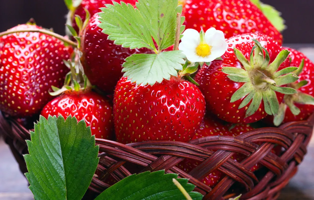 Фото обои ягоды, клубника, корзинка, fresh, strawberry, berries