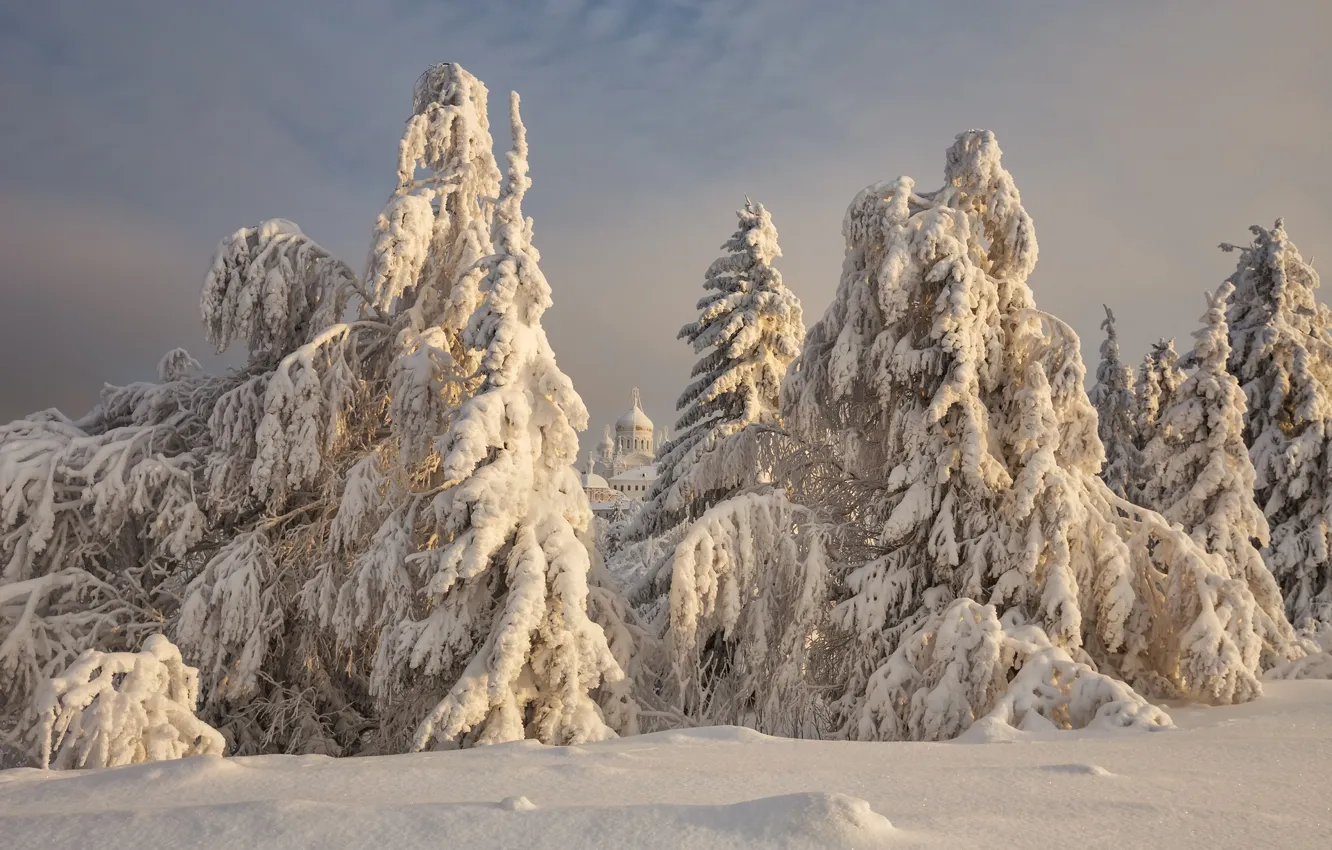 Фото обои зима, снег, деревья, пейзаж, природа, ели, храм, монастырь