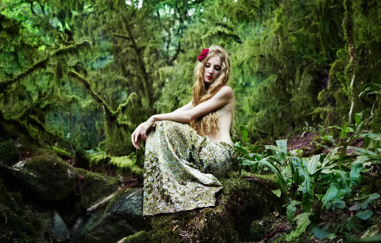 Фото обои лес, девушка, волосы, камень, макияж, fairy forest