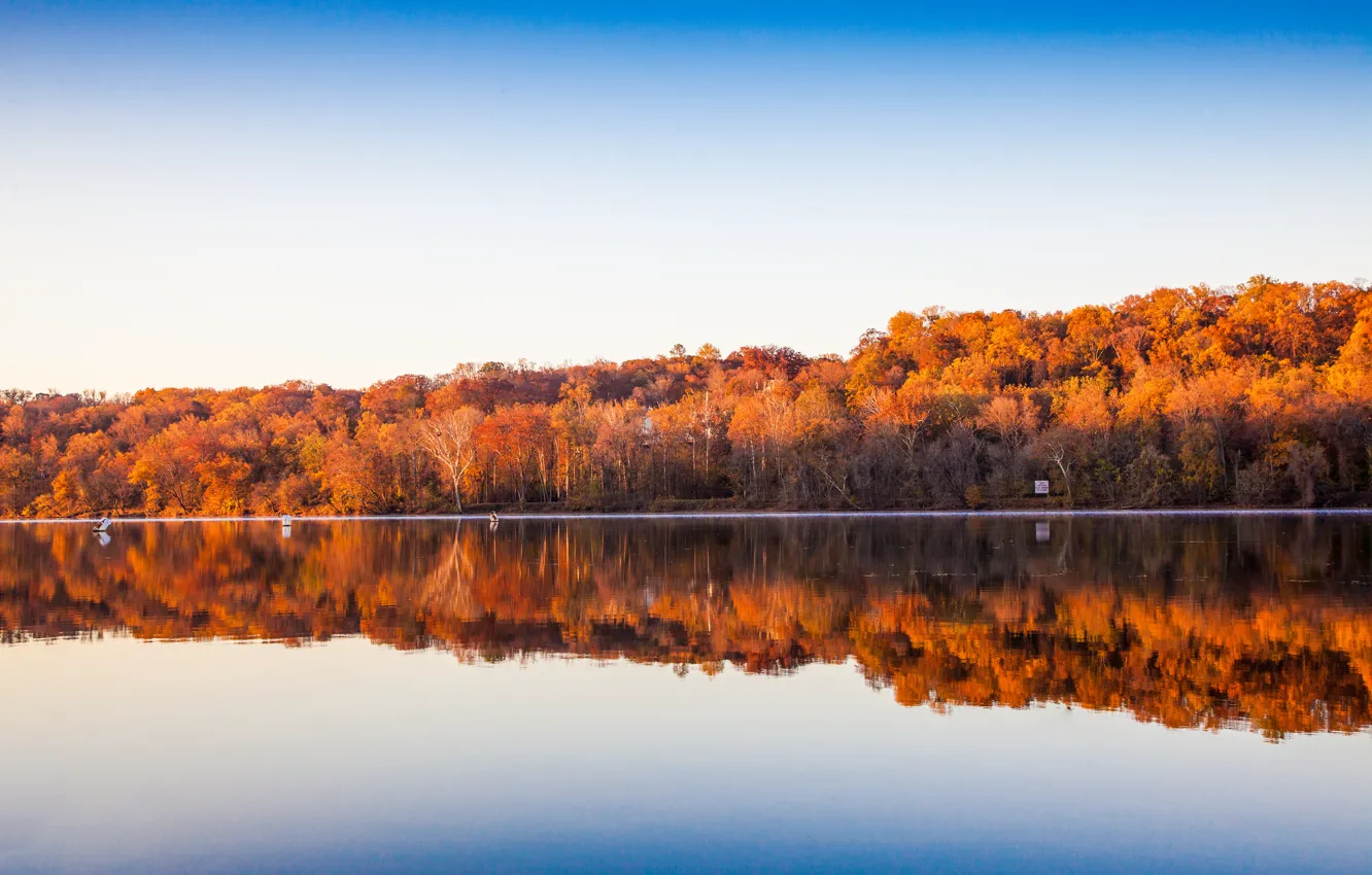 Фото обои небо, деревья, озеро, отражение, зеркало, берег озера