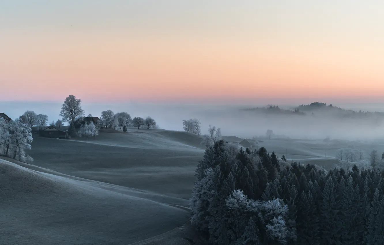 Фото обои зима, туман, утро