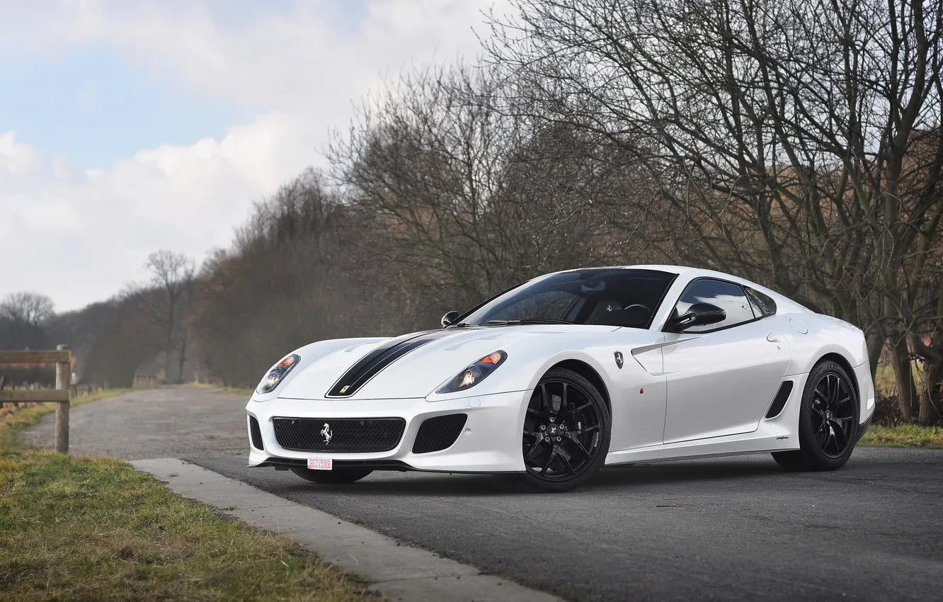 Фото обои Ferrari, white, grass, road, 599, sky, trees, GTO