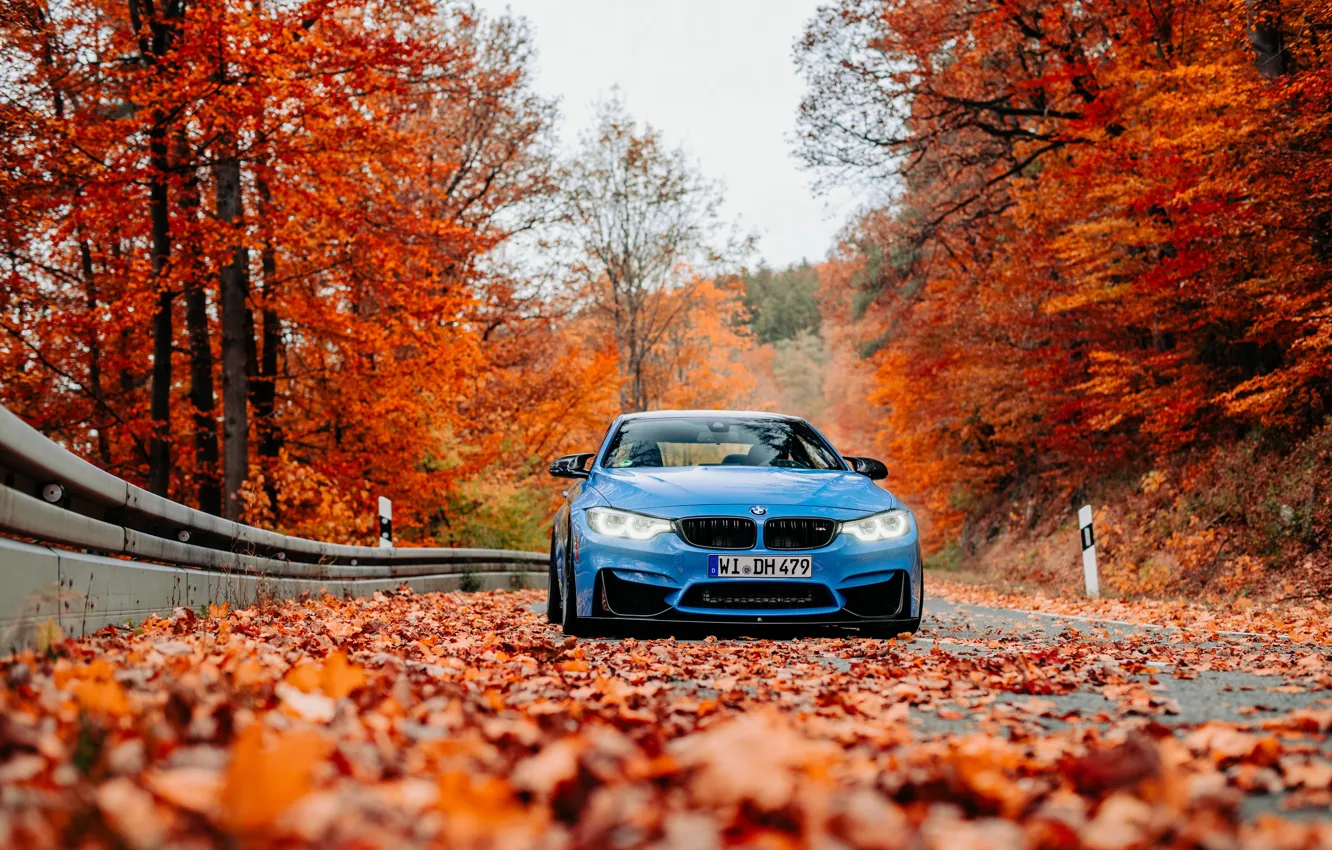 Фото обои BMW, Blue, Autumn, Road, F82, Sight, LED