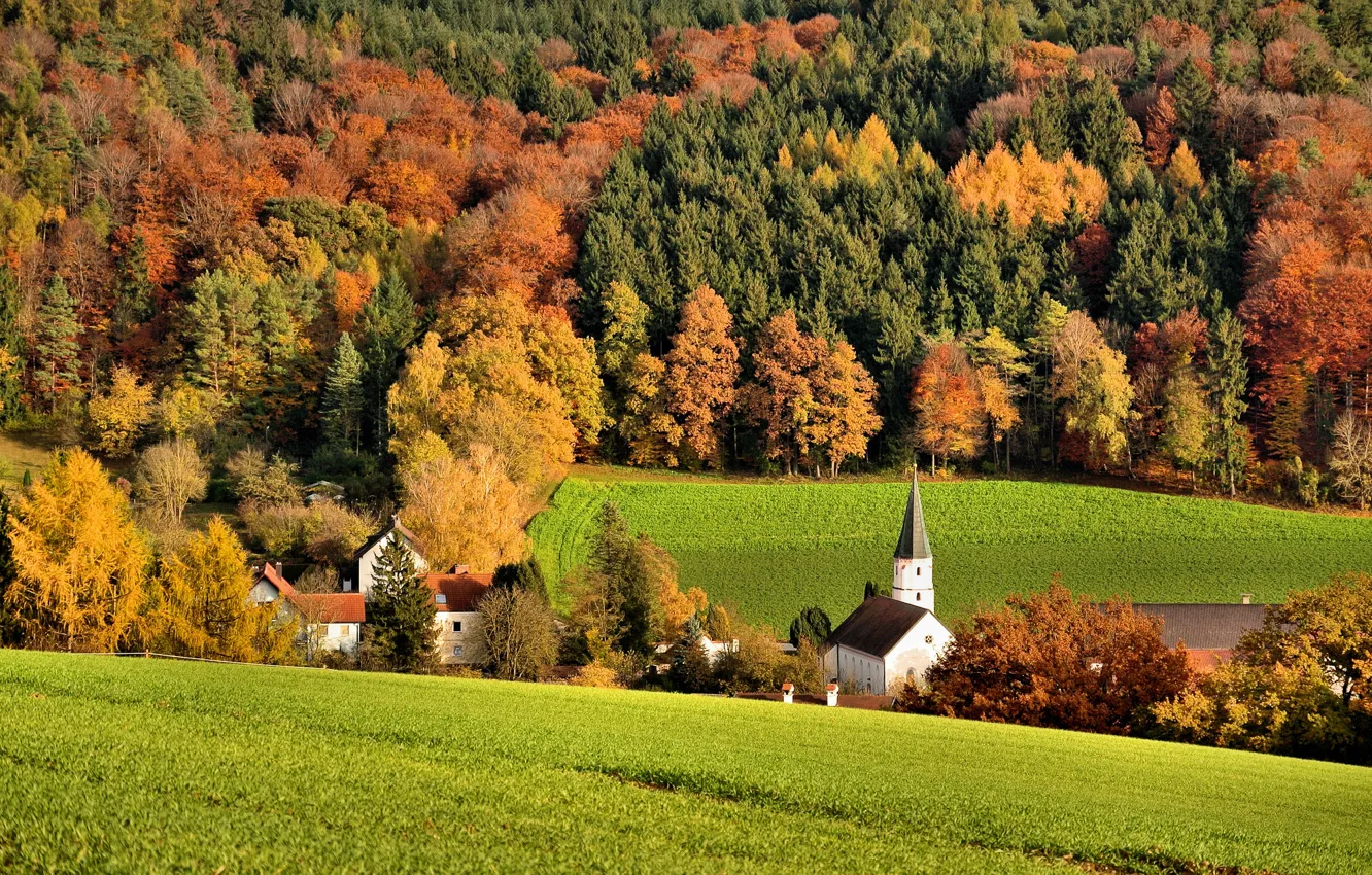 Фото обои поле, осень, лес, деревья, холмы, дома, церковь