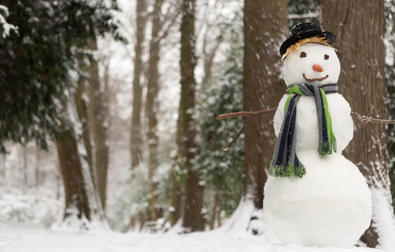Фото обои зима, снег, шляпа, морковка, шарф, снеговик, лес. деревья