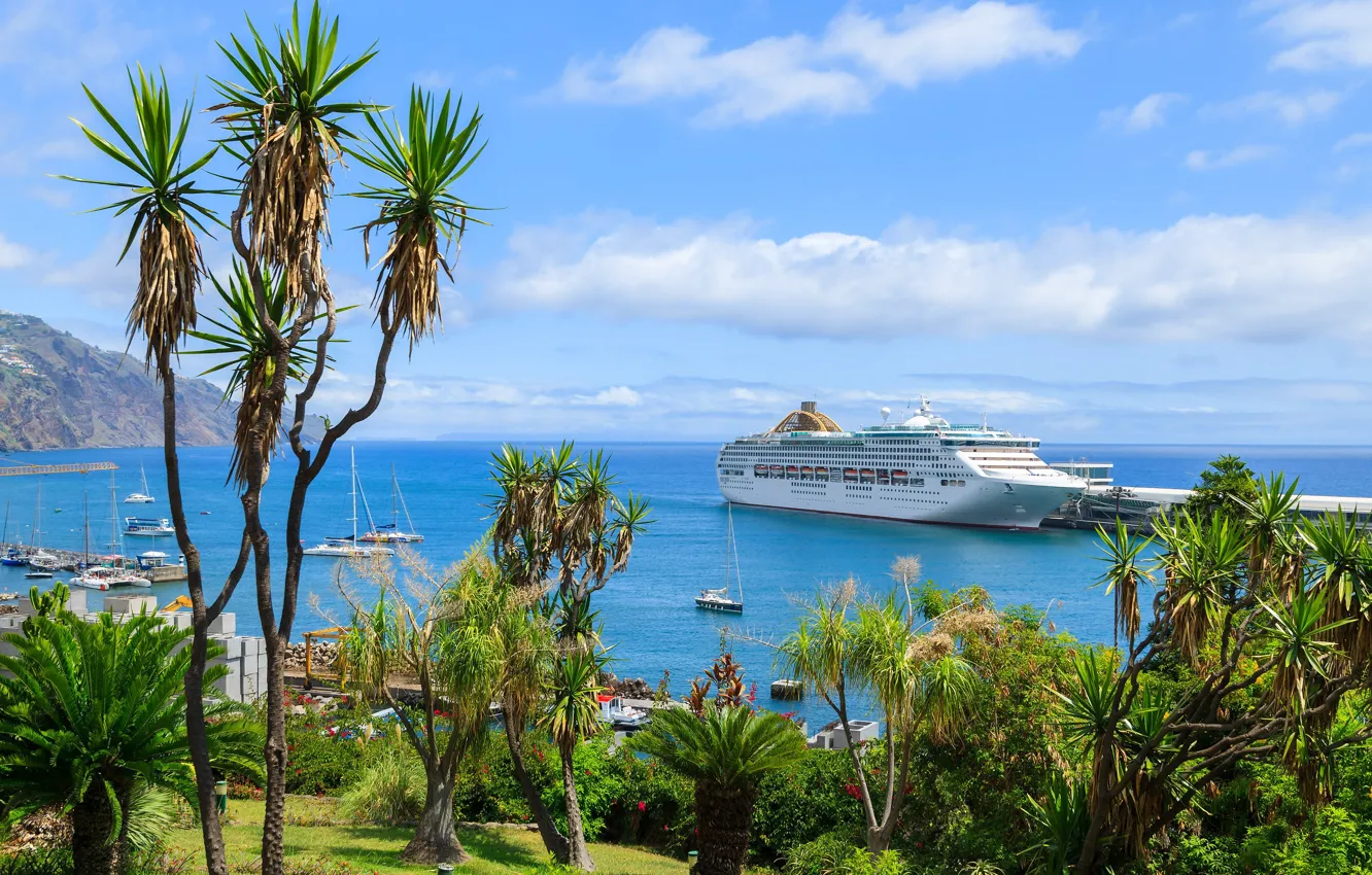 Фото обои море, пальмы, остров, лайнер, Мадейра