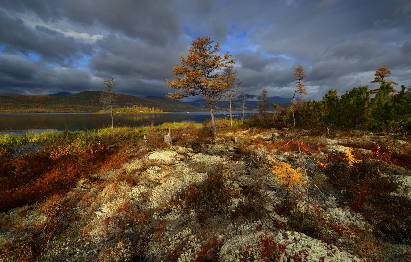 Фото обои осень, небо, облака, деревья, горы, тучи, холмы, берег
