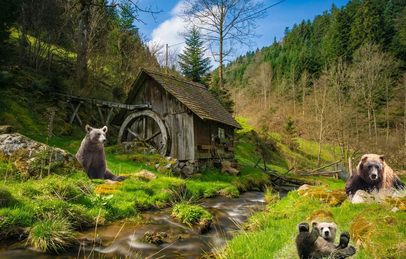 Фото обои лес, рендеринг, медведи, мельница, водяная мельница, мишки