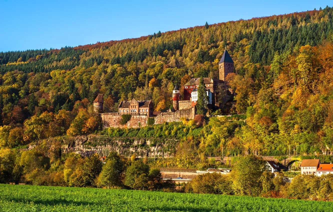 Фото обои осень, замок, Германия, Germany, Baden-Wurttemberg, Zwingenberg, Schloss Zwingenberg
